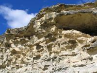 Albums/20060200-New Zealand 2006/20060316-Twiz/29